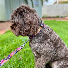 Load image into Gallery viewer, The &#39;Purple Boho Flowers&#39; Dog Collar Bundle
