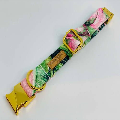 Tropical Palms Dog Collar - Fluffy Tales