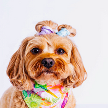 Load image into Gallery viewer, Mochima Paradise Dog Bandana - Fluffy Tales

