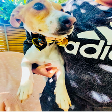 Load image into Gallery viewer, Ginger Flower Dog Bow Tie - Fluffy Tales
